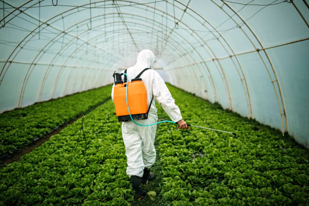 Best Ant Control Services  in Arp, TX