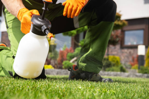 Best Commercial Pest Control Services  in Arp, TX