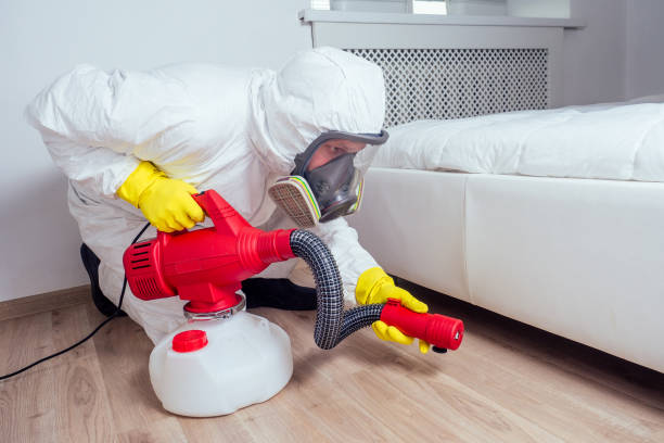 Best Termite Control Services  in Arp, TX