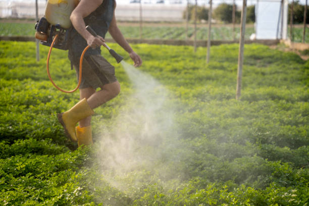 Best Pest Control Near Me  in Arp, TX