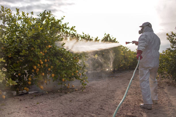 Best Cockroach Control Services  in Arp, TX