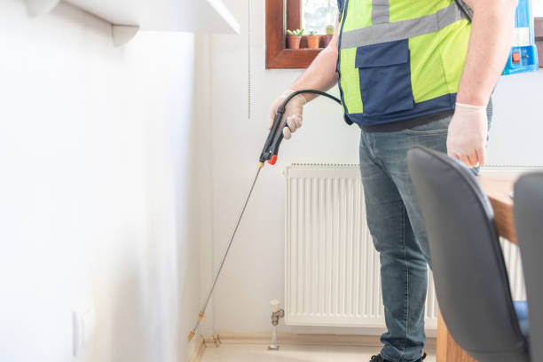 Best Flea Control Services  in Arp, TX