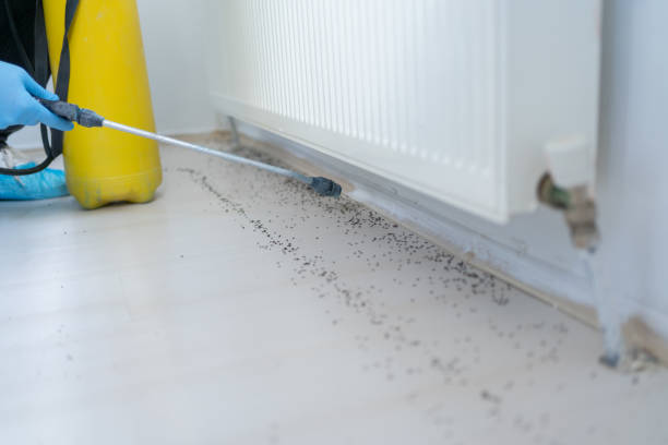Best Pest Removal Services  in Arp, TX