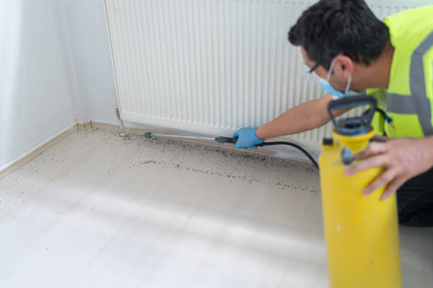 Best Pest Control Near Me in Arp, TX