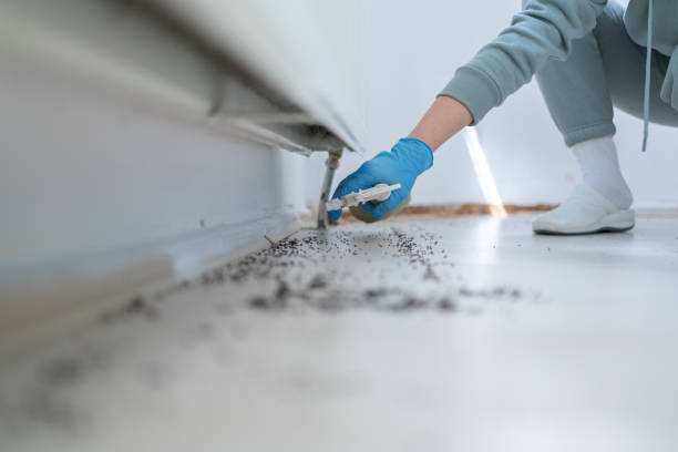 Arp, TX Pest Control Company